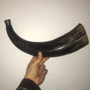 Vintage Bull horn Display (works) made from real bull horn decorative piece